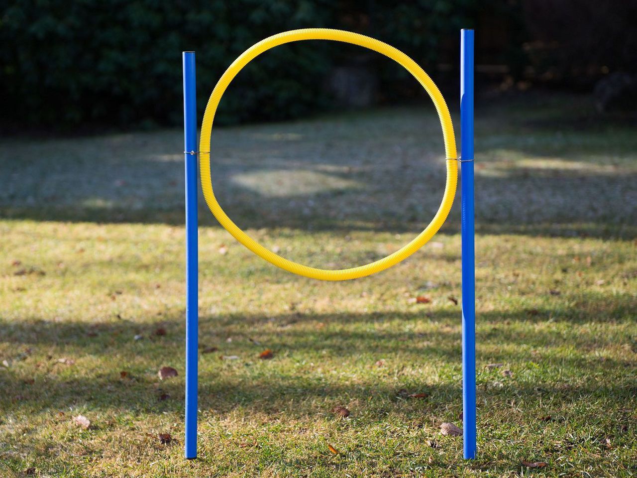 Hundetrainingsset, Slalom-Stangen, Hürde und Ring, Agility PR-A19-A Hundetrainingsset, Slalom-Stangen, Hürde und Ring, Agility PR-A19-A