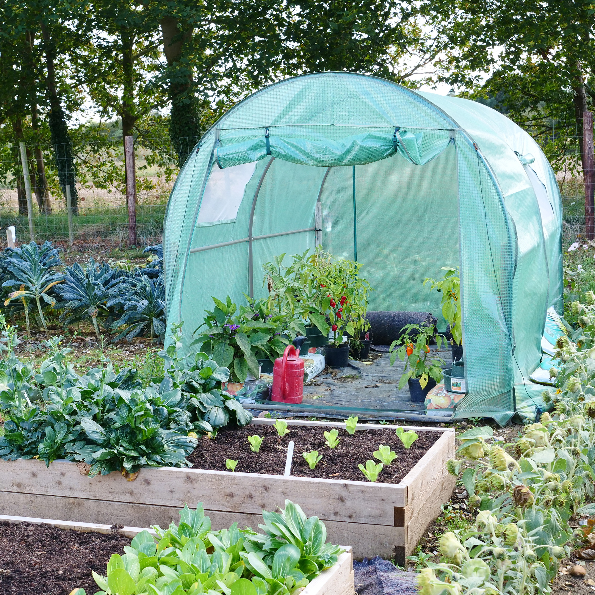 Robustes Foliengewächshaus mit 2 Fenstern, Gewächshaus 300 x 200 cm, 200 cm hoch NA207 Robustes Foliengewächshaus mit 2 Fenstern, Gewächshaus 300 x 200 cm, 200 cm hoch NA207