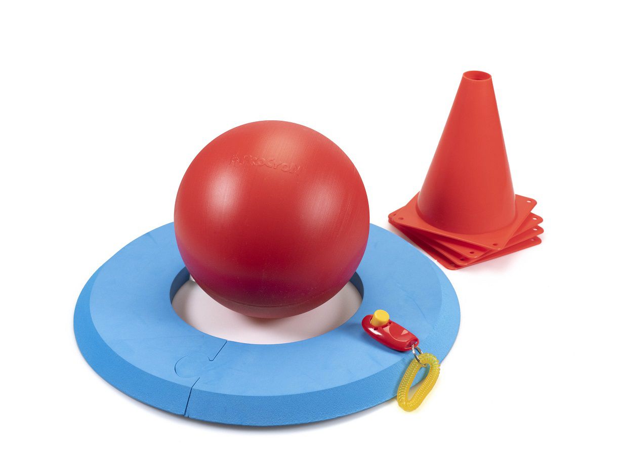 Golf Spielset für Hunde, Hundespielzeug, Agility, Hundetraining PR-G1 Golf Spielset für Hunde, Hundespielzeug, Agility, Hundetraining PR-G1