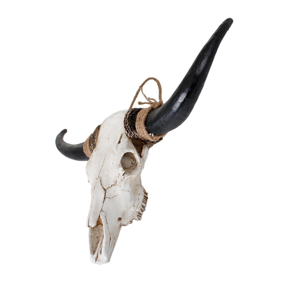 Geweih, Bison, Polyresin weiß mit schwarzen Hörnern HI-301811 Geweih, Bison, Polyresin weiß mit schwarzen Hörnern HI-301811