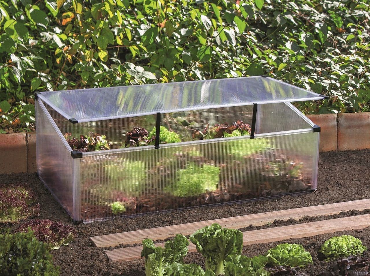 Frühbeet FERONIA mit Klappdeckel, Treibhaus EPH-40002079