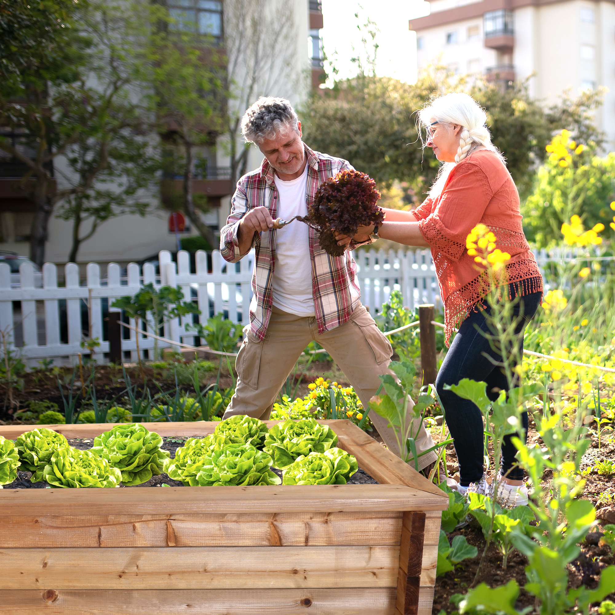 Massives Hochbeet aus Holz, 145 cm lang, Frühbeet als Set mit Noppenfolie und Nagerschutzgitter NA112_B