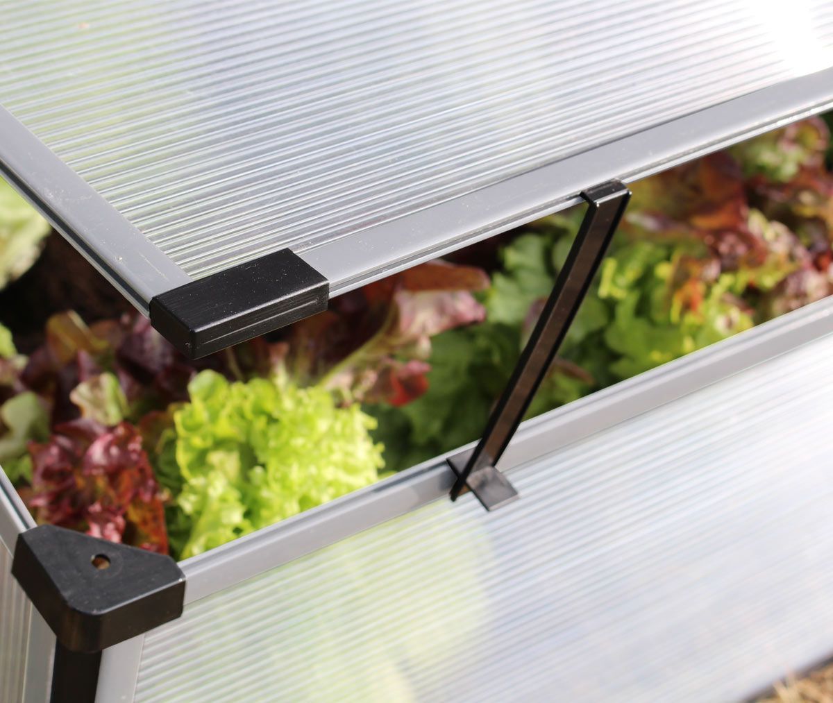 Frühbeet Levana 2 mit Aufstelldach, Treibhaus EPH-40000957 Frühbeet Levana 2 mit Aufstelldach, Treibhaus EPH-40000957