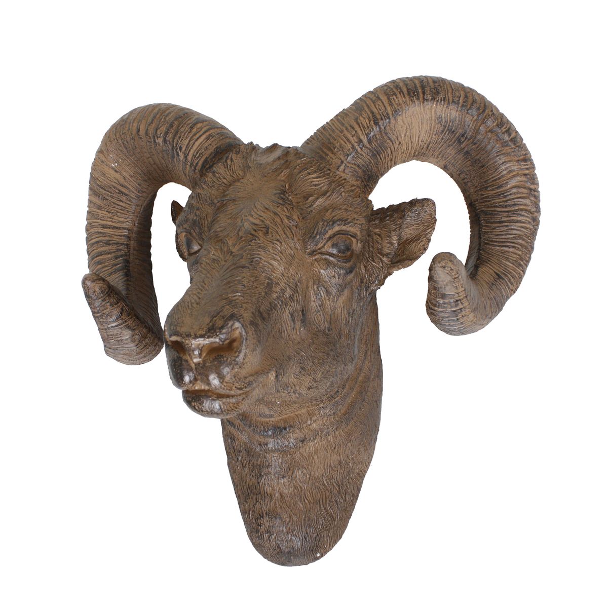 Geweih, Widder, Polyresin, antik-braun HI-301810 Geweih, Widder, Polyresin, antik-braun HI-301810